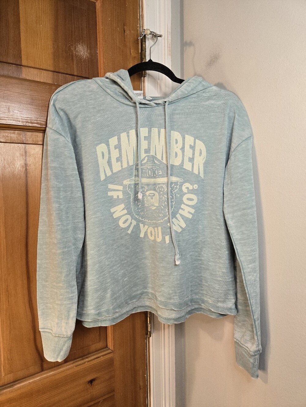 Smokey Bear Cropped Graphic Lightweight Hoodie Sz L